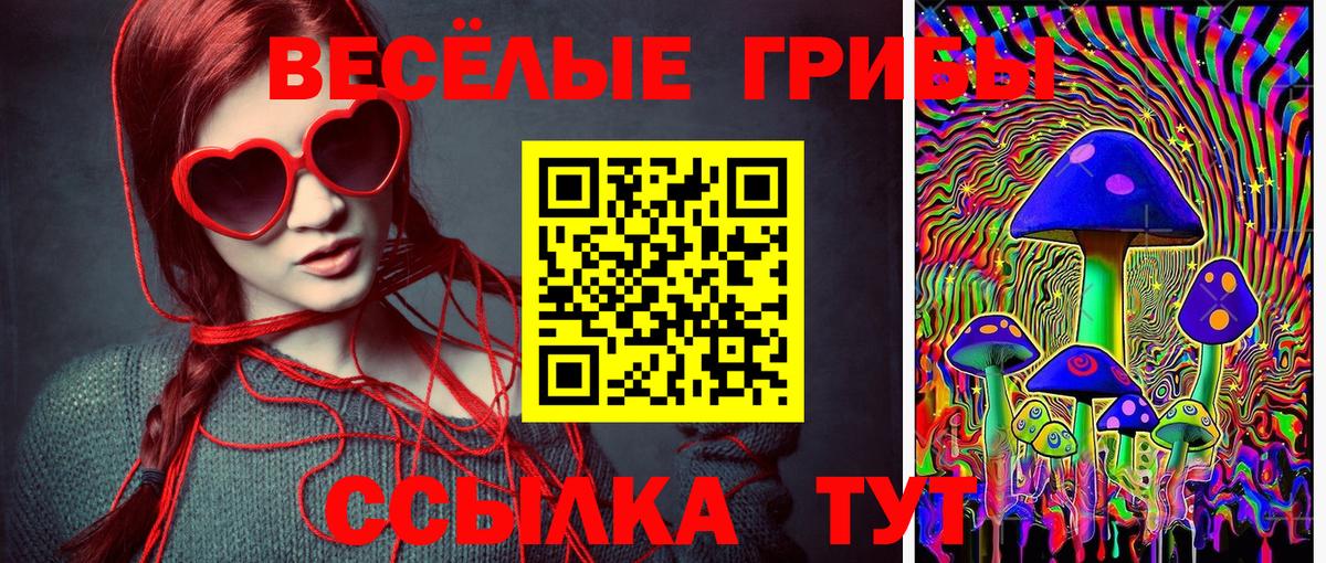 Михайловка  Галлюциногенные грибы Magic Shrooms  Вход с VPN 